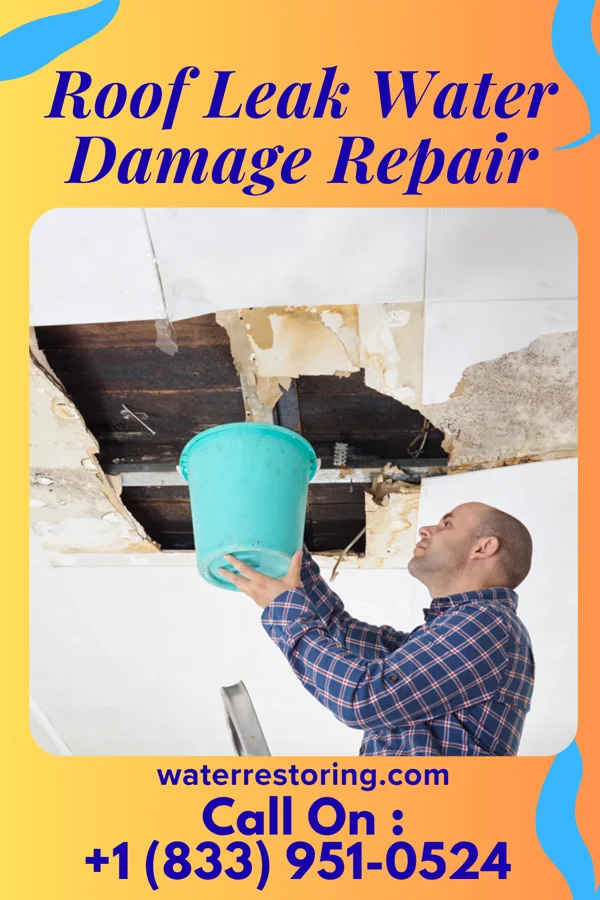 Roof Leak Water Damage Repair in East Rockingham, NC