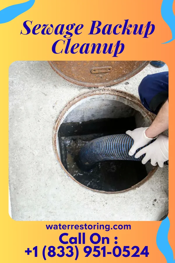 Sewage Backup Cleanup in East Rockingham, NC