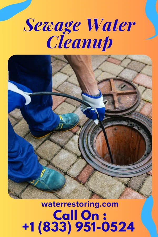 Sewage Water Cleanup in East Rockingham, NC