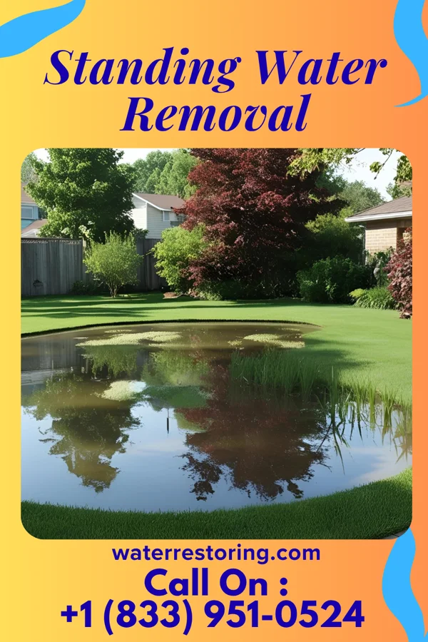 Standing Water Removal in East Rockingham, NC